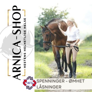 Si ledd hest.  Låsning i ryggen hest. Skjev rygg hest. Ryggplager hest med stiv bakpart.  Ryggproblemer hest