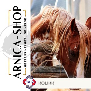 Gasskolikk på hest. Sandkolikk hest. Forstoppelse hest