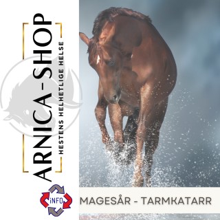 Magesår - Tarmkatarr/sår