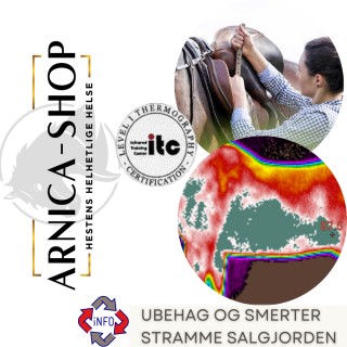 Gjordspreng hest. Stive bevegelser. Vil ikke gå i nedoverbakke. Smerter og ubehag ved å stramme salgjorden.