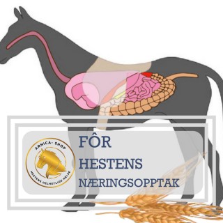 Tilskudd hest. Kosttilskudd hest. Tilskudd magesår hest. Tilskudd hest med diarè.  Tilskudd hest med magesår. Løs avføring