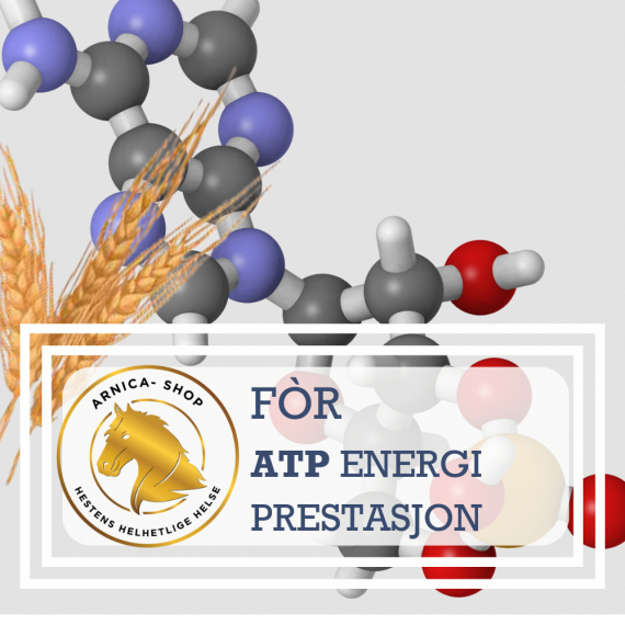 Fôr ATP energi