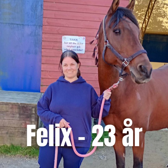 Felix