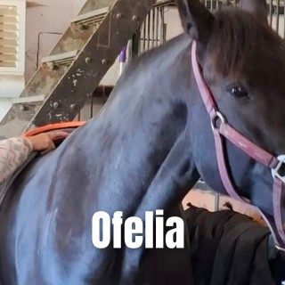 Ofelia