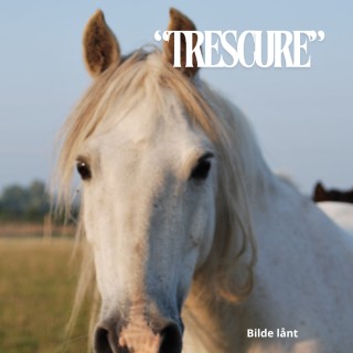 Sportsponni Trescure