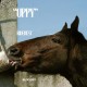 Uppy