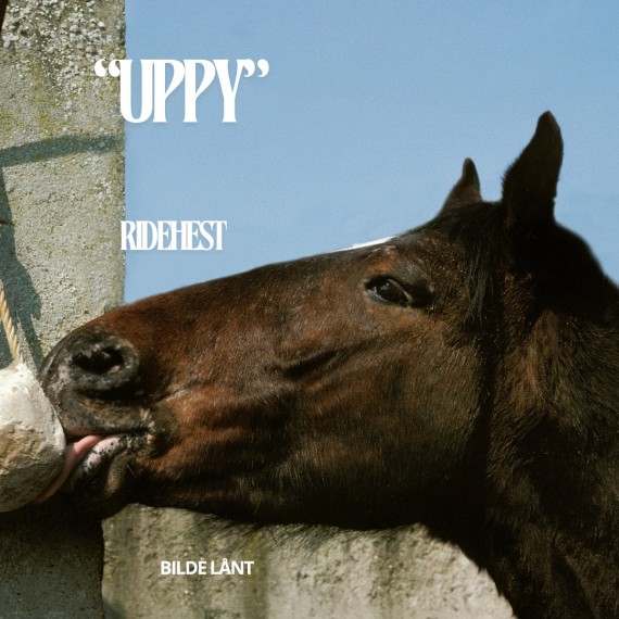 Uppy