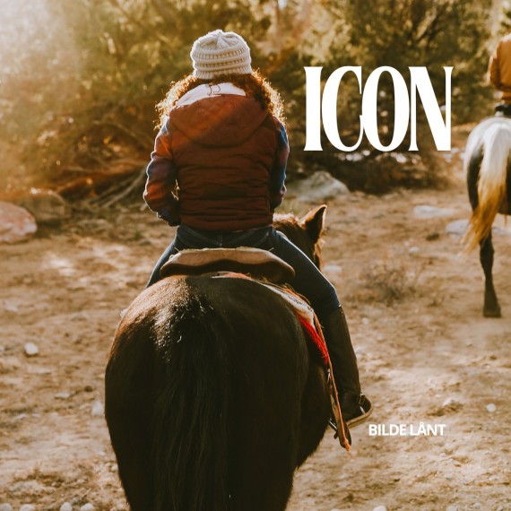 Icon