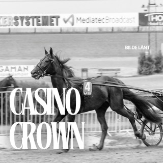 Casino Crown løpshest