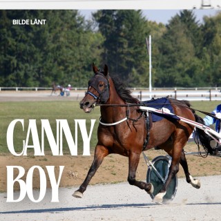 Canny Boy løpshest