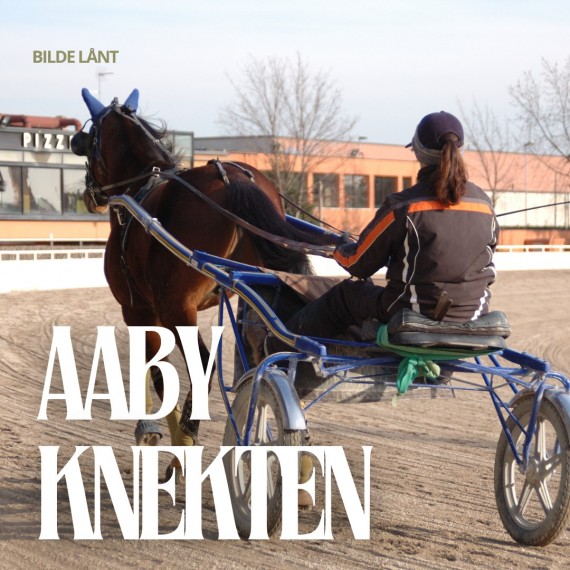 Aabyknekten