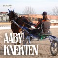 Aabyknekten