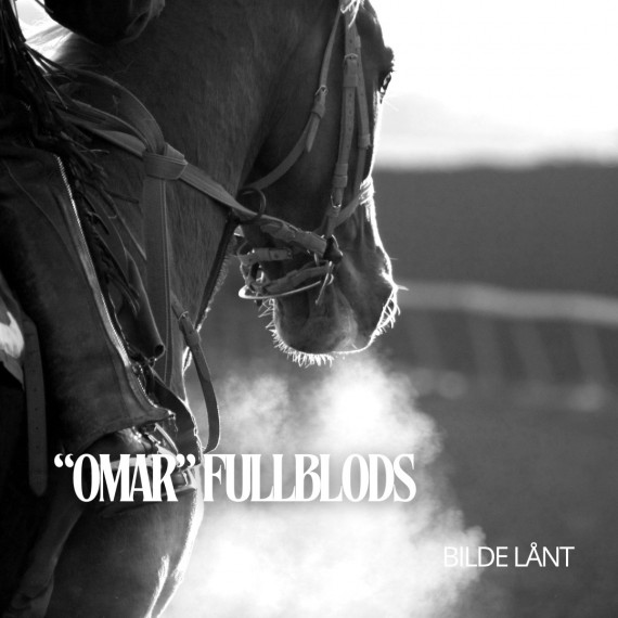 Omar fullblods