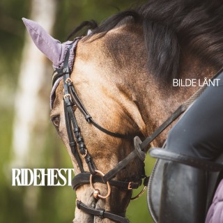 Ridehest