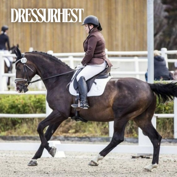 Action dressurhest
