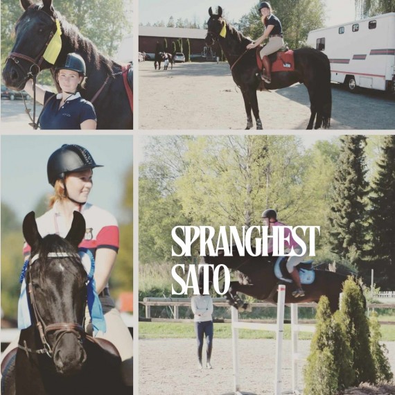 Sato spranghest