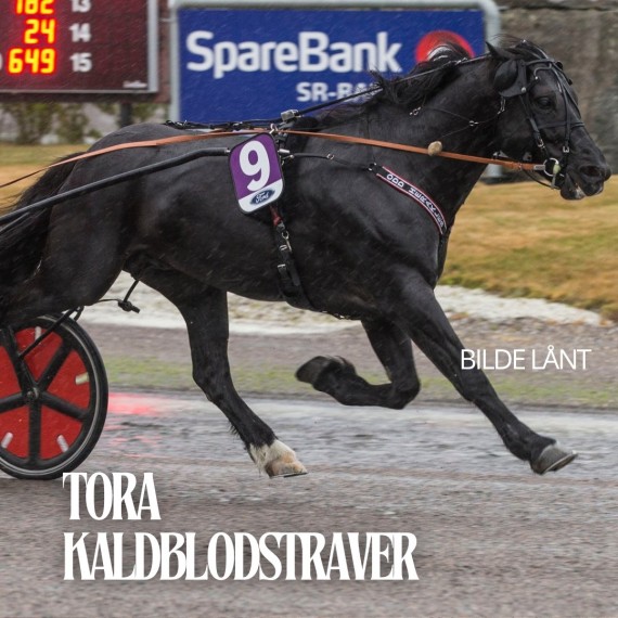 Tora kaldblodstraver