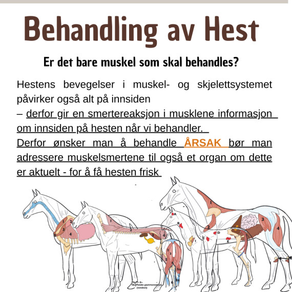 Bestill time - Rogaland