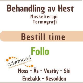 Bestill time Follo
