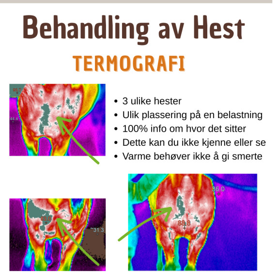Bestill time Østfold