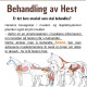 Bestill time Østfold