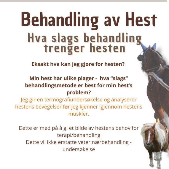 Bestill time Nedre Romerike