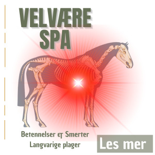 Velvære & Spa behandling