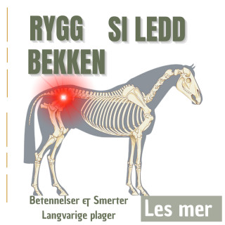 Rygg - SI-ledd - Bekken