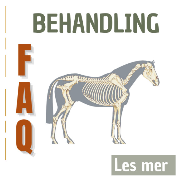 FAQ BEHANDLING