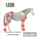 Ledd