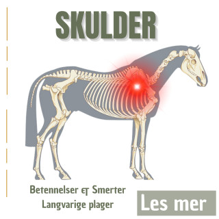 Skulder