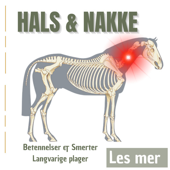 Nakke & Hals
