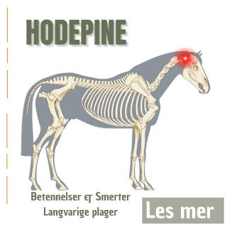 Hodepine