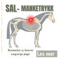 Sal- og manketrykk