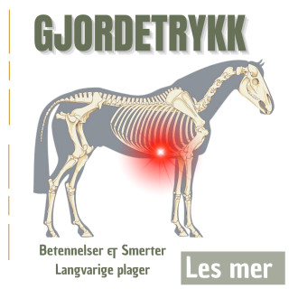 Gjordetrykk