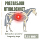 Prestasjon og utholdenhet