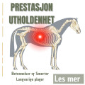 Prestasjon og utholdenhet