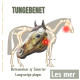 Tungebenet