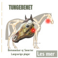 Tungebenet