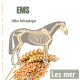 Equint Metabolisk Syndrom (EMS)