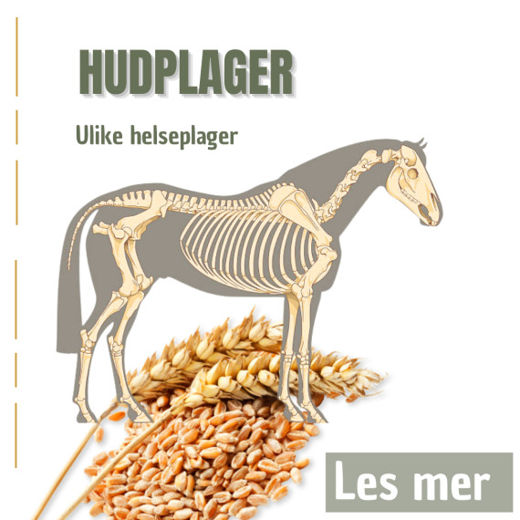 Hudplager