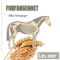 Forfangenhet