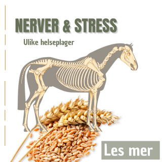 Nerver og stress