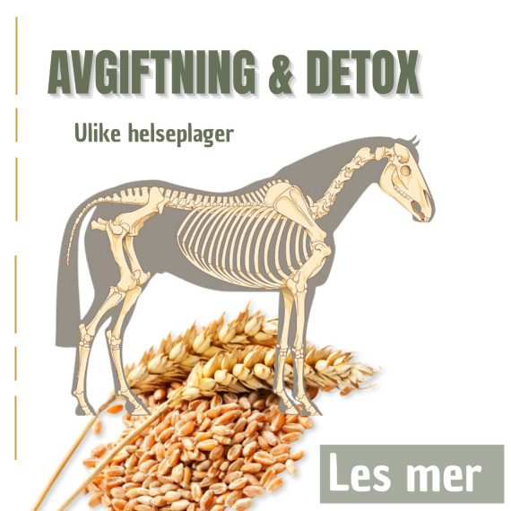 Avgiftning - Detox