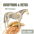 Avgiftning - Detox