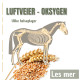 Oksygen - luftveier