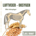 Oksygen - luftveier