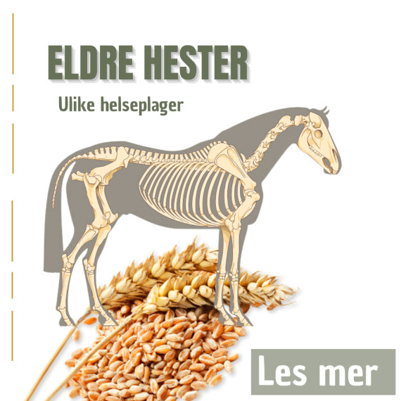 Eldre hester