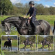 Historien om Moon