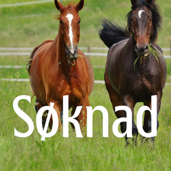 SØKNAD Forsøk/Test